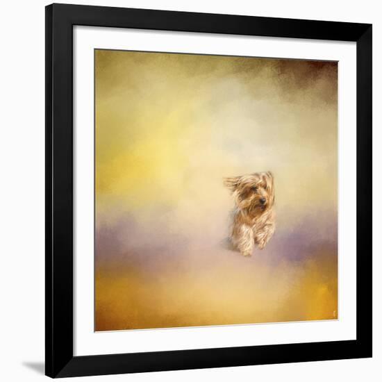 Yorkie Running into the Wind-Jai Johnson-Framed Giclee Print