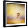 Yorkie Running into the Wind-Jai Johnson-Framed Giclee Print