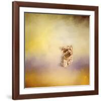 Yorkie Running into the Wind-Jai Johnson-Framed Giclee Print