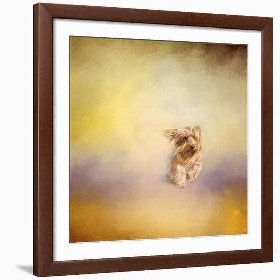 Yorkie Running into the Wind-Jai Johnson-Framed Giclee Print