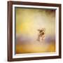 Yorkie Running into the Wind-Jai Johnson-Framed Giclee Print