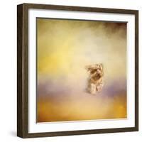 Yorkie Running into the Wind-Jai Johnson-Framed Giclee Print