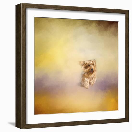 Yorkie Running into the Wind-Jai Johnson-Framed Giclee Print