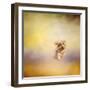 Yorkie Running into the Wind-Jai Johnson-Framed Giclee Print