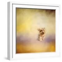 Yorkie Running into the Wind-Jai Johnson-Framed Giclee Print