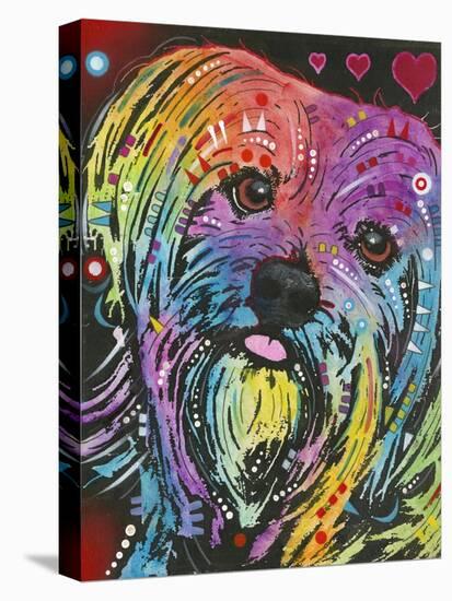 Yorkie-Dean Russo-Stretched Canvas