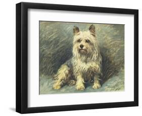 Yorkie-John Emms-Framed Giclee Print