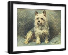 Yorkie-John Emms-Framed Giclee Print