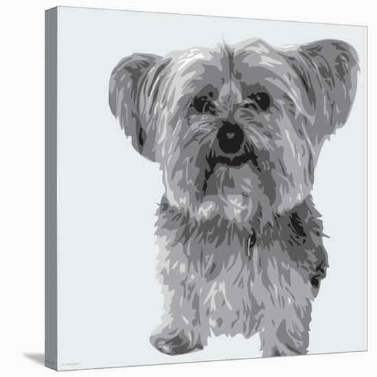 Yorkie-Emily Burrowes-Stretched Canvas