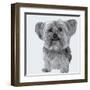 Yorkie-Emily Burrowes-Framed Art Print