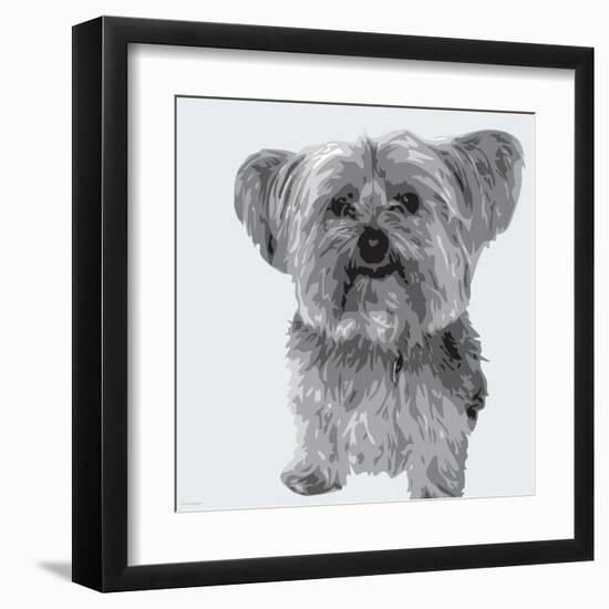 Yorkie-Emily Burrowes-Framed Art Print