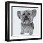 Yorkie-Emily Burrowes-Framed Art Print