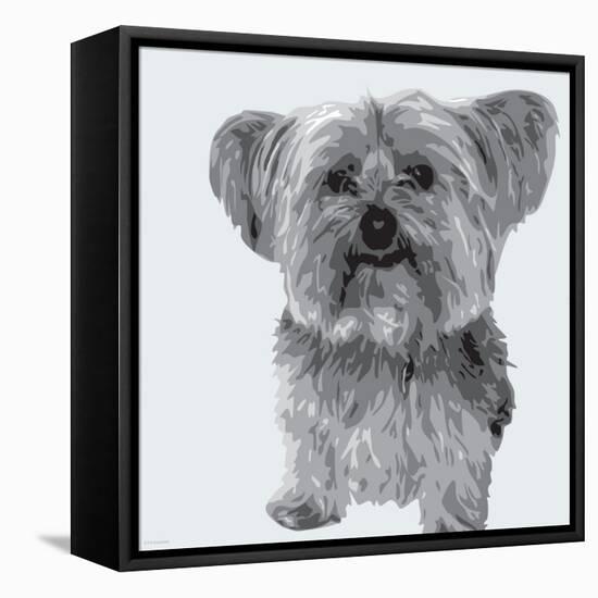 Yorkie-Emily Burrowes-Framed Stretched Canvas