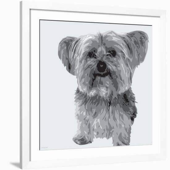 Yorkie-Emily Burrowes-Framed Art Print