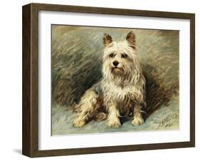 Yorkie-John Emms-Framed Giclee Print