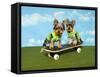 Yorkies On A Skateboard-Blueiris-Framed Stretched Canvas