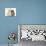 Yorkipoo Pup, 6 Weeks Old, with Sandy Rabbit-Mark Taylor-Photographic Print displayed on a wall