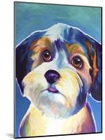 Yorkipoo - Zoe-Dawgart-Mounted Giclee Print