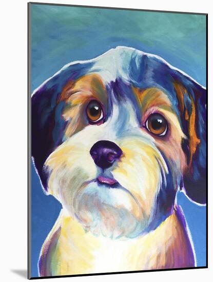 Yorkipoo - Zoe-Dawgart-Mounted Giclee Print