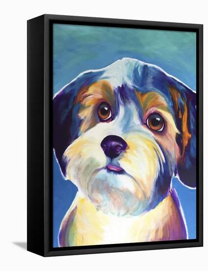 Yorkipoo - Zoe-Dawgart-Framed Stretched Canvas