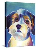 Yorkipoo - Zoe-Dawgart-Stretched Canvas