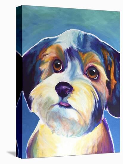 Yorkipoo - Zoe-Dawgart-Stretched Canvas