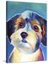 Yorkipoo - Zoe-Dawgart-Stretched Canvas