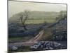 Yorkshire Dales Near Settle, Yorkshire, England, United Kingdom-Rob Cousins-Mounted Photographic Print