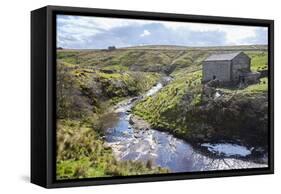 Yorkshire Dales, North Yorkshire, Yorkshire, England, United Kingdom, Europe-Mark Mawson-Framed Stretched Canvas