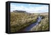 Yorkshire Dales, North Yorkshire, Yorkshire, England, United Kingdom, Europe-Mark Mawson-Framed Stretched Canvas