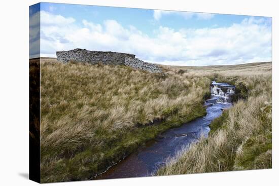 Yorkshire Dales, North Yorkshire, Yorkshire, England, United Kingdom, Europe-Mark Mawson-Stretched Canvas