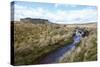 Yorkshire Dales, North Yorkshire, Yorkshire, England, United Kingdom, Europe-Mark Mawson-Stretched Canvas