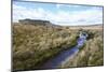 Yorkshire Dales, North Yorkshire, Yorkshire, England, United Kingdom, Europe-Mark Mawson-Mounted Photographic Print