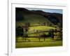 Yorkshire Dales Spring-Jody Miller-Framed Photographic Print