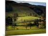 Yorkshire Dales Spring-Jody Miller-Mounted Photographic Print