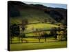 Yorkshire Dales Spring-Jody Miller-Stretched Canvas