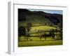 Yorkshire Dales Spring-Jody Miller-Framed Photographic Print