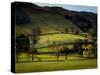 Yorkshire Dales Spring-Jody Miller-Stretched Canvas