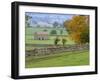 Yorkshire Dales, Yorkshire, England, UK, Europe-John Miller-Framed Photographic Print