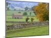 Yorkshire Dales, Yorkshire, England, UK, Europe-John Miller-Mounted Photographic Print