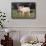 Yorkshire Pig on Grass-DLILLC-Framed Stretched Canvas displayed on a wall