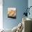 Yorkshire Puddings-null-Photographic Print displayed on a wall