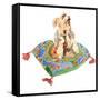 Yorkshire Terrier, 2012-Jennifer Abbott-Framed Stretched Canvas