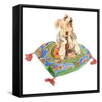 Yorkshire Terrier, 2012-Jennifer Abbott-Framed Stretched Canvas