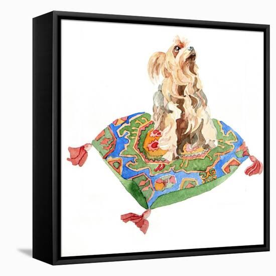 Yorkshire Terrier, 2012-Jennifer Abbott-Framed Stretched Canvas