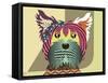 Yorkshire Terrier Dog-Lanre Adefioye-Framed Stretched Canvas