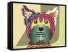 Yorkshire Terrier Dog-Lanre Adefioye-Framed Stretched Canvas