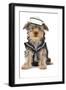 Yorkshire Terrier in Sailor Outfit-null-Framed Photographic Print