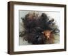 Yorkshire Terrier in Water-Adriano Bacchella-Framed Premium Photographic Print