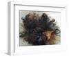 Yorkshire Terrier in Water-Adriano Bacchella-Framed Premium Photographic Print